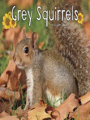 cover image of Grey Squirrels